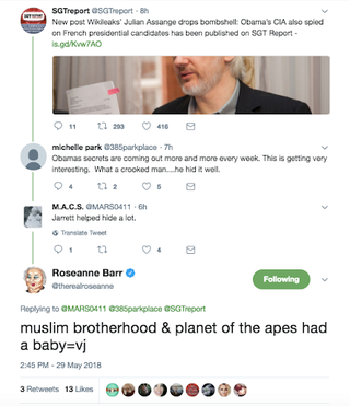 Illustration for article titled Roseanne Barr Says Valerie Jarrett Is the Result of ‘Muslim Brotherhood and Planet of the Apes’